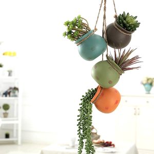 Hanging Succulents